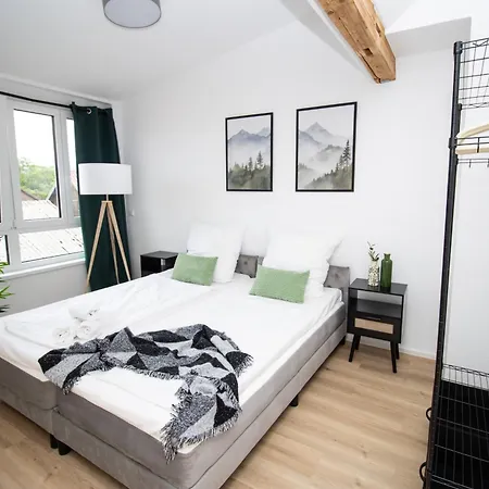 Modernes Apartment, Nahe Europa Park & Strassburg Apartment Oberkirch (Baden)
